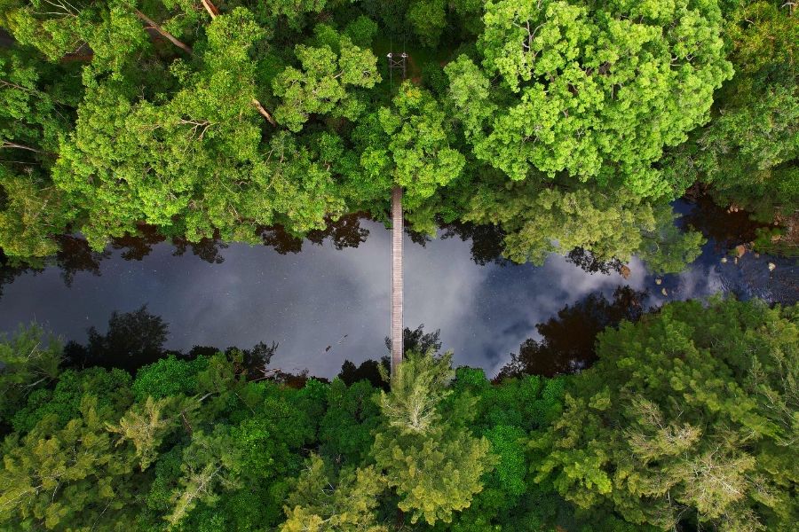 Activities around Wildes Kangaroo Valley