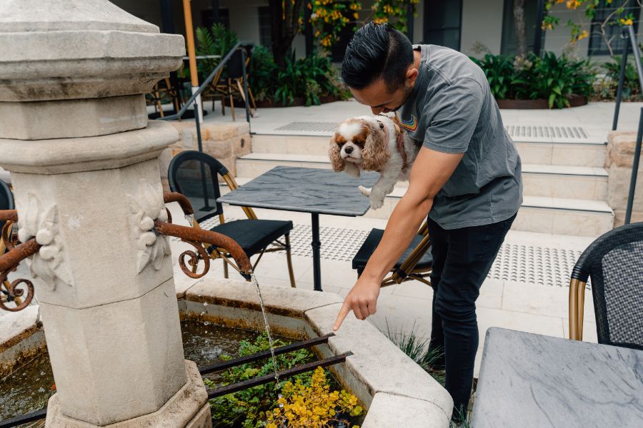 Pet friendly at Wildes Hotel