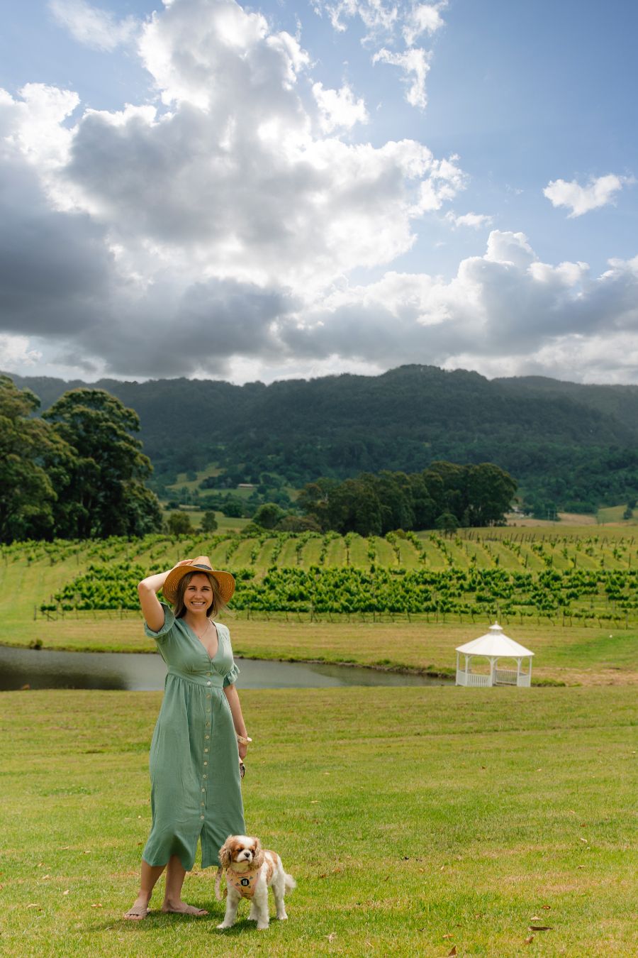 Pet friendly at Wildes Hotel